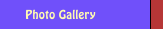 Photo Gallery